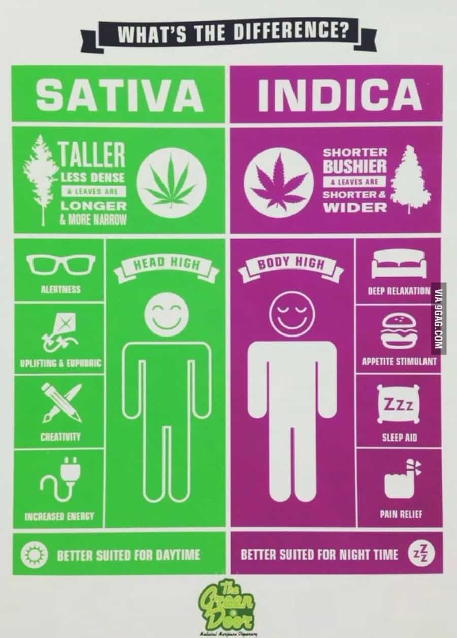 Chart Courtesy of The Weed Blog
