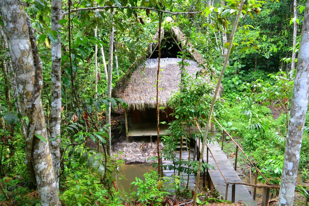 A "Tambo" hut used for dieta in the Peruvian Amazon.