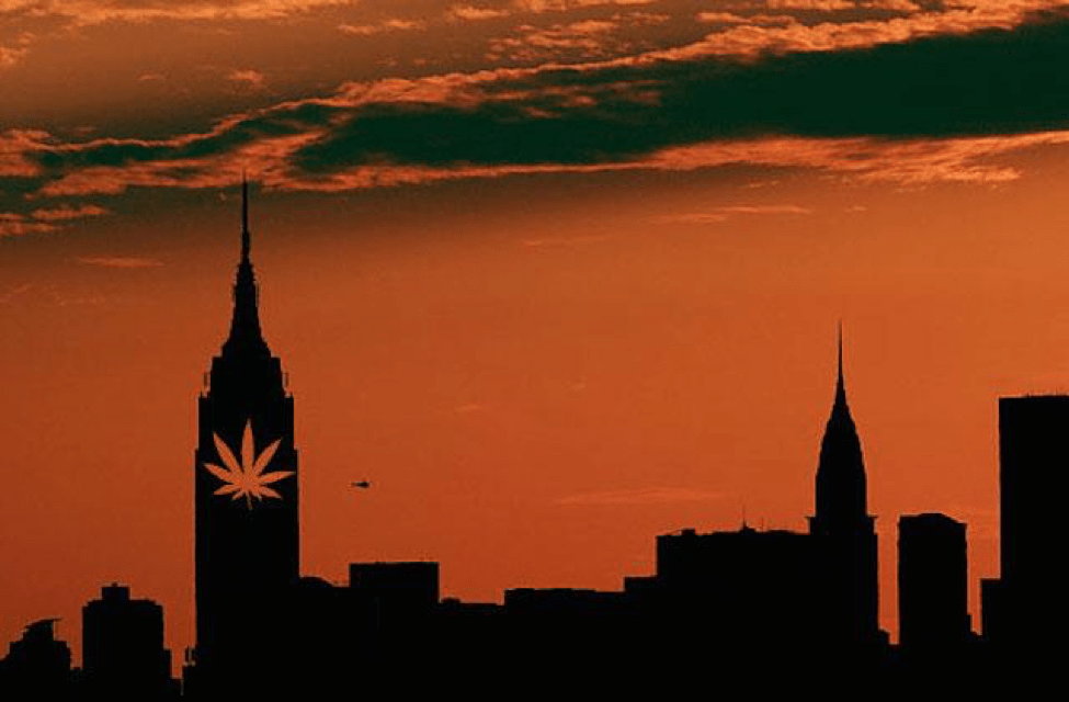 New York Medical Marijuana Dispensary