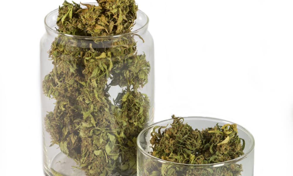 Growing Pains: Wholesale Marijuana Prices Continue to Drop