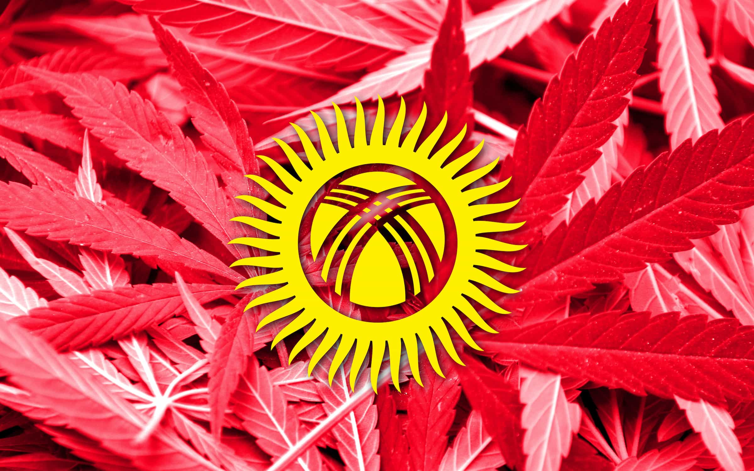 Kyrgyzstan Could Bring Legal Cannabis To Central Asia Region
