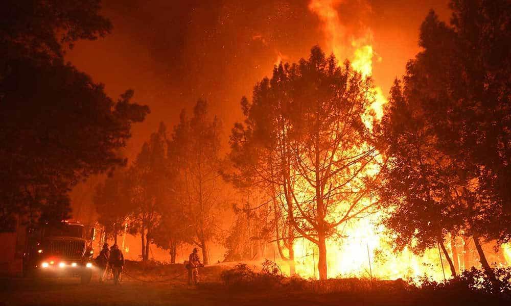 How to Help the California Cannabis Community Affected by Fires