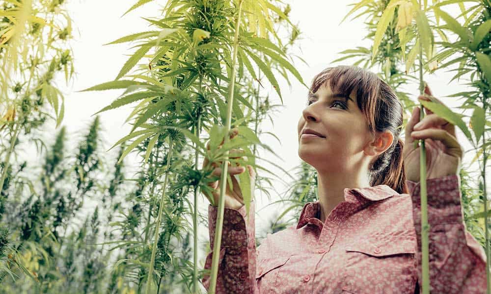 Picking The Brains Of Leading Female Cannabis Execs