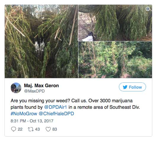 Texas Officials Post Sarcastic Tweet After Removing 3,000 Pot Plants