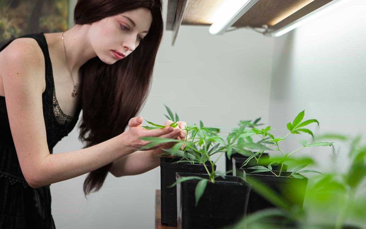 Science, Women and Cannabis: A Healthy Successful Combination