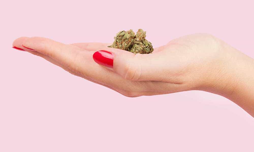 Science, Women and Cannabis: A Healthy Successful Combination