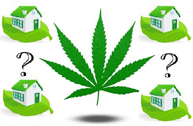 Image result for cannabis real estate