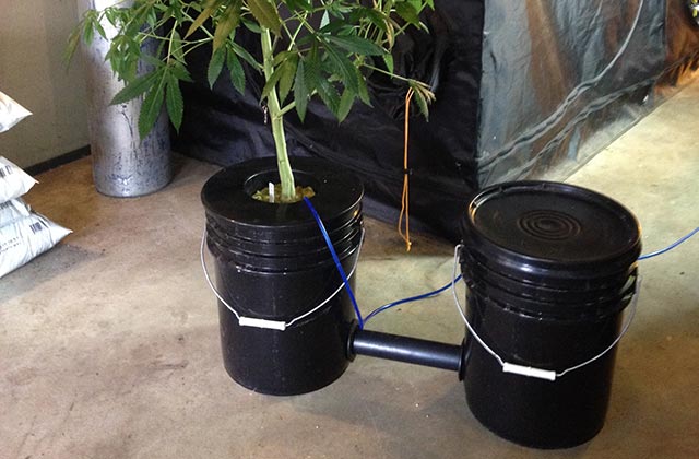How To Build A Two Bucket Dwc System High Times - Diy Deep Water Culture System