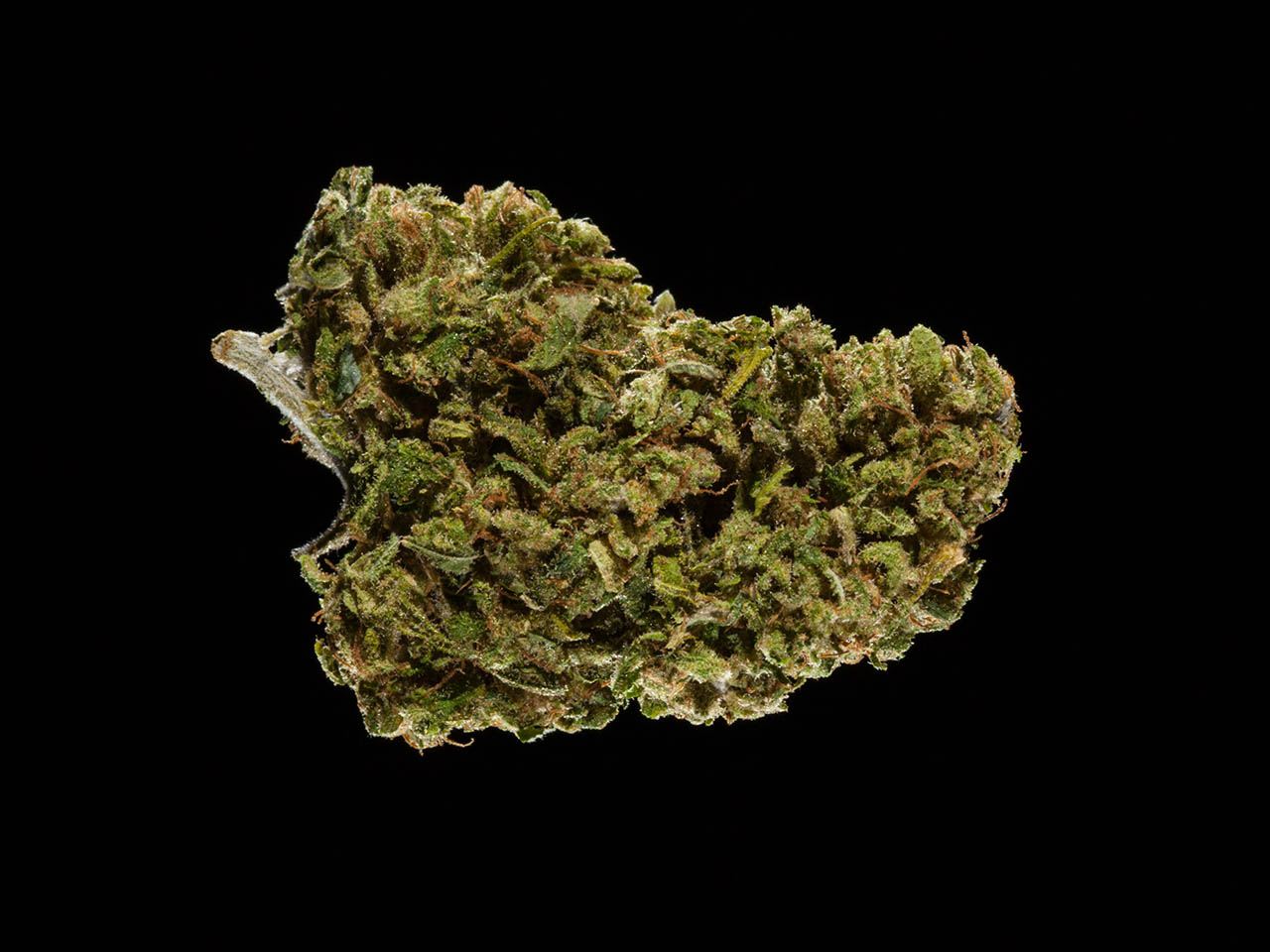 2016 Michigan Medical Cannabis Cup, Top 5 CBD Flowers