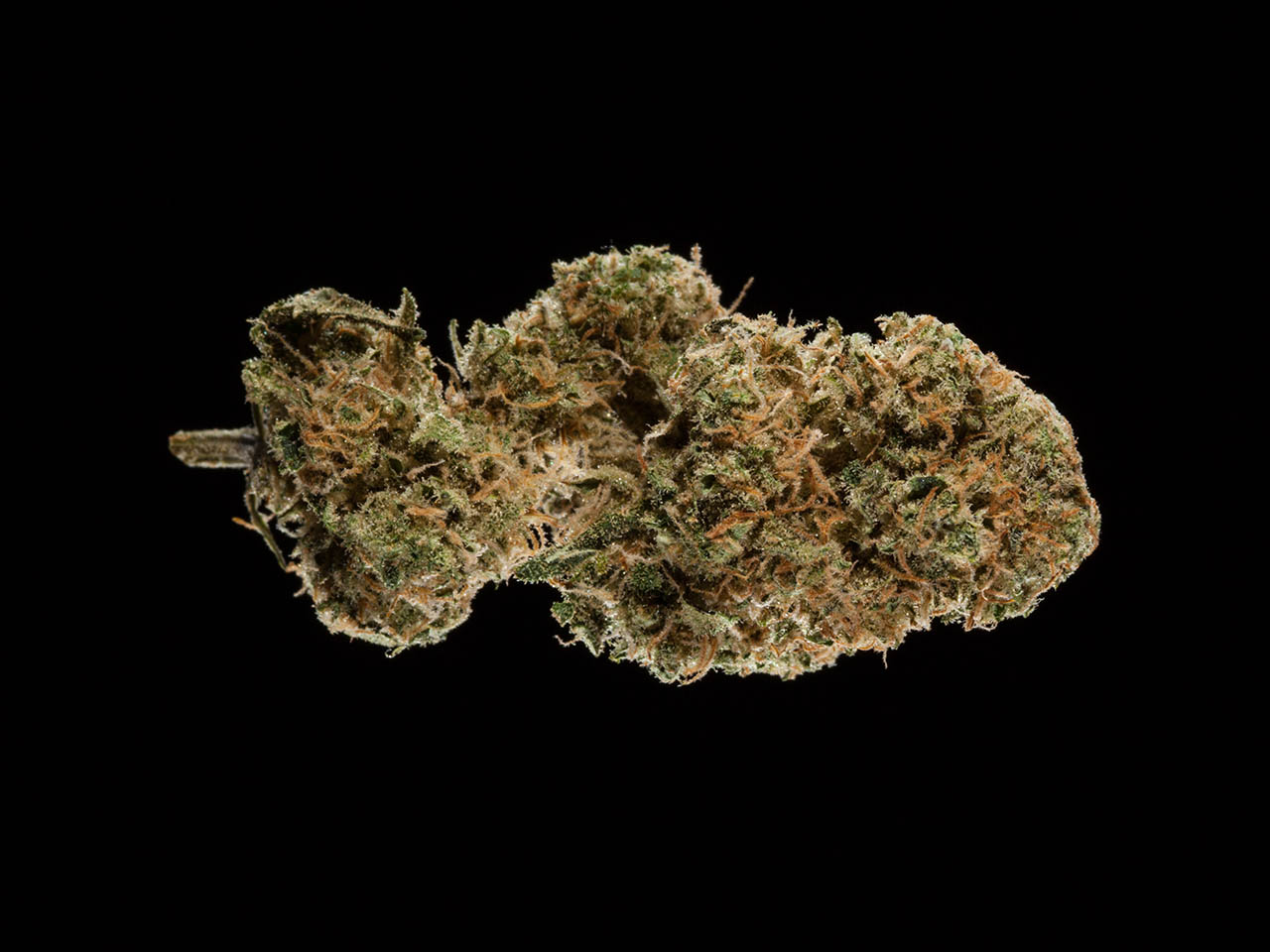 2016 Michigan Medical Cannabis Cup, Top 5 CBD Flowers
