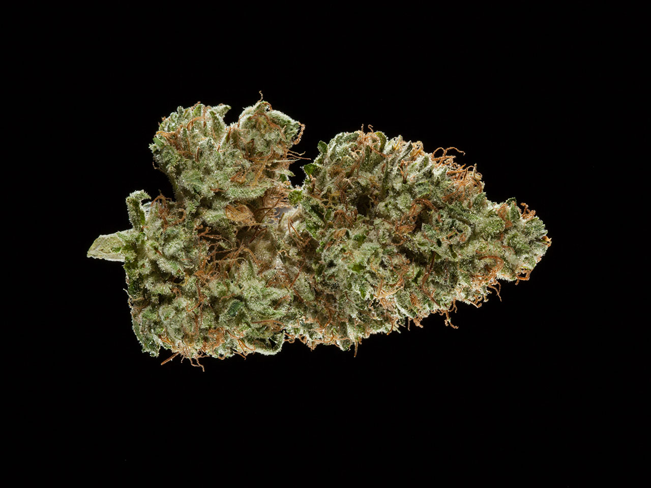 2016 Michigan Medical Cannabis Cup, Top 10 Indica Flowers