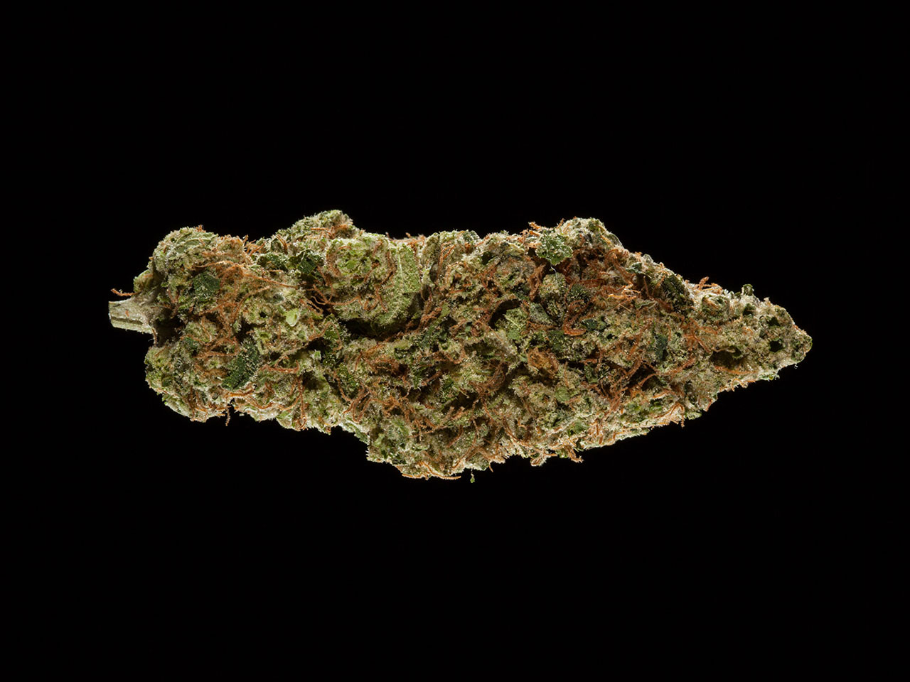 2016 Michigan Medical Cannabis Cup, Top 10 Indica Flowers