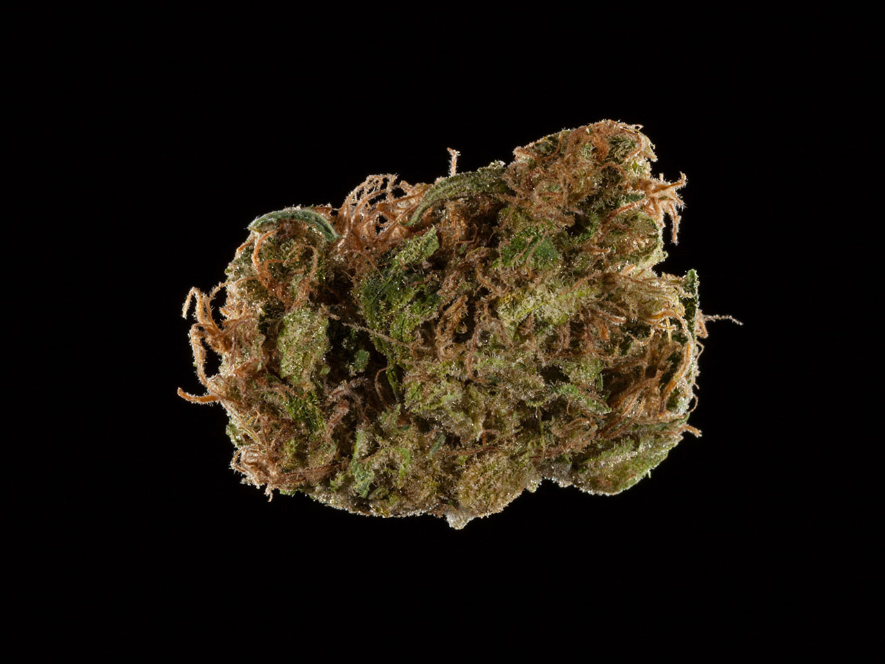 2016 Michigan Medical Cannabis Cup, top 10 sativa flowers