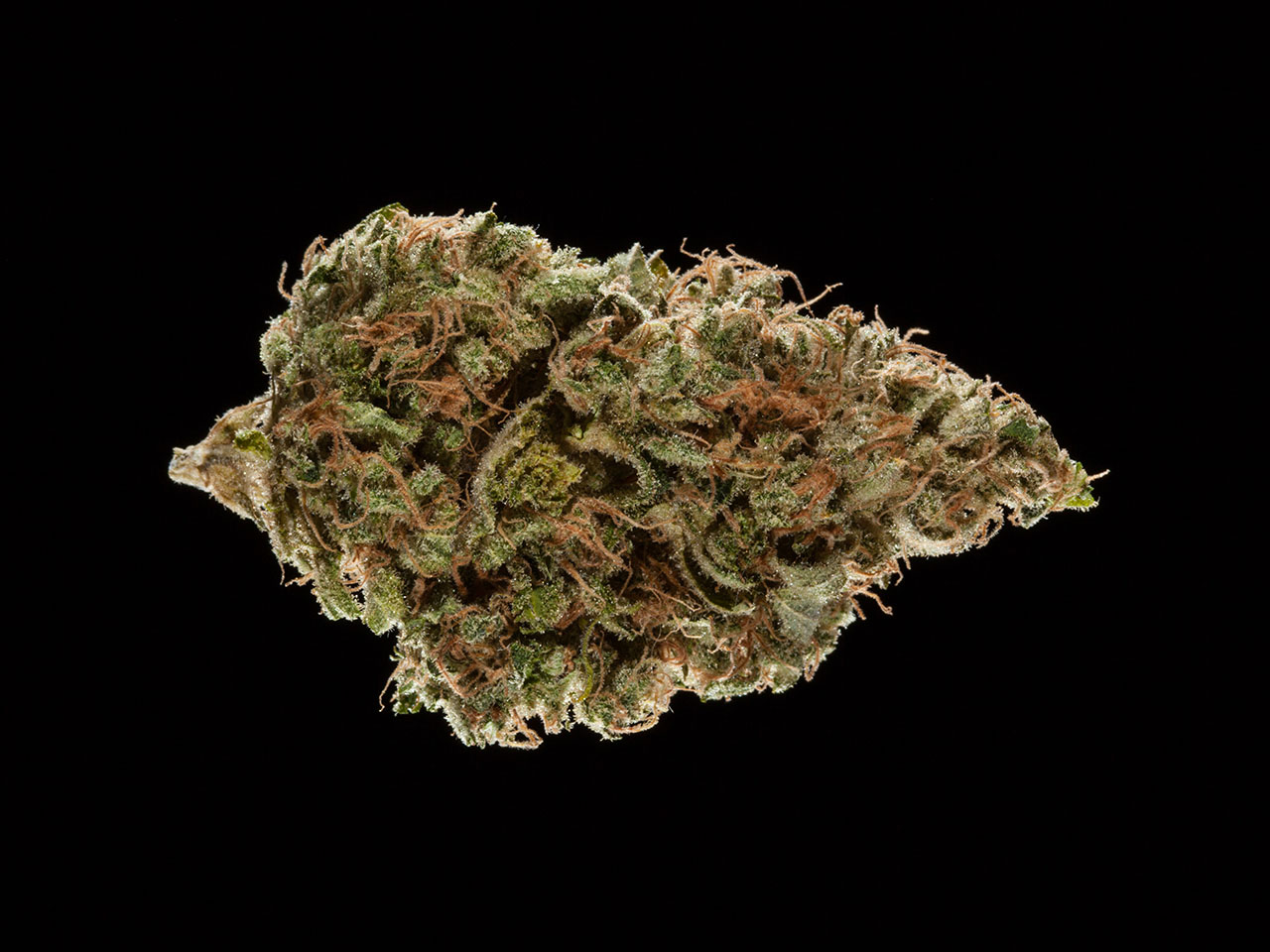 2016 Michigan Medical Cannabis Cup, top 10 sativa flowers