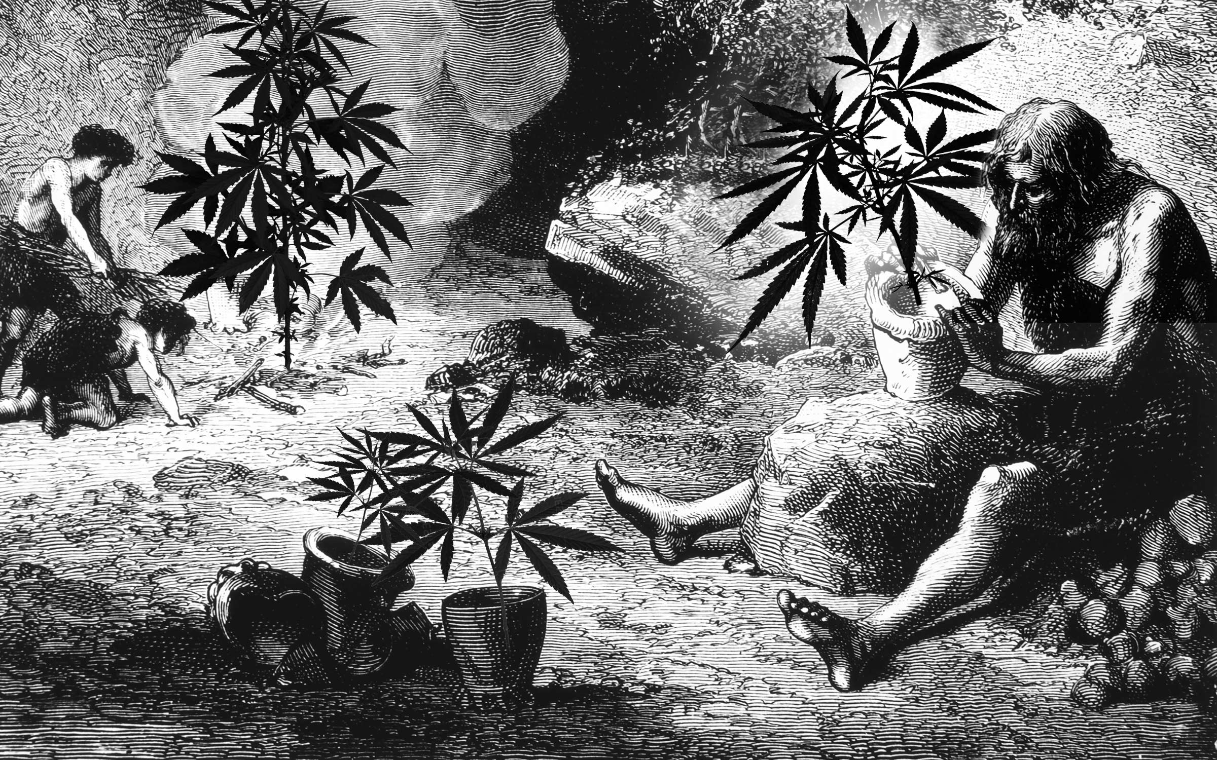 История о марихуане зеленский о наркотиках