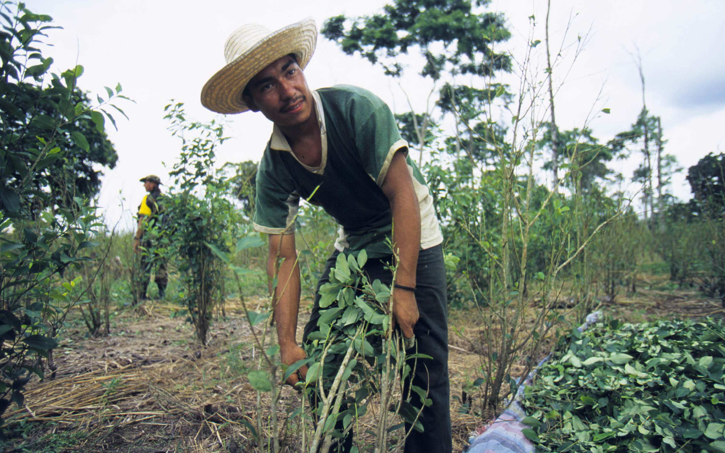 Geography Research in Central America Leads to International Drug Trafficking