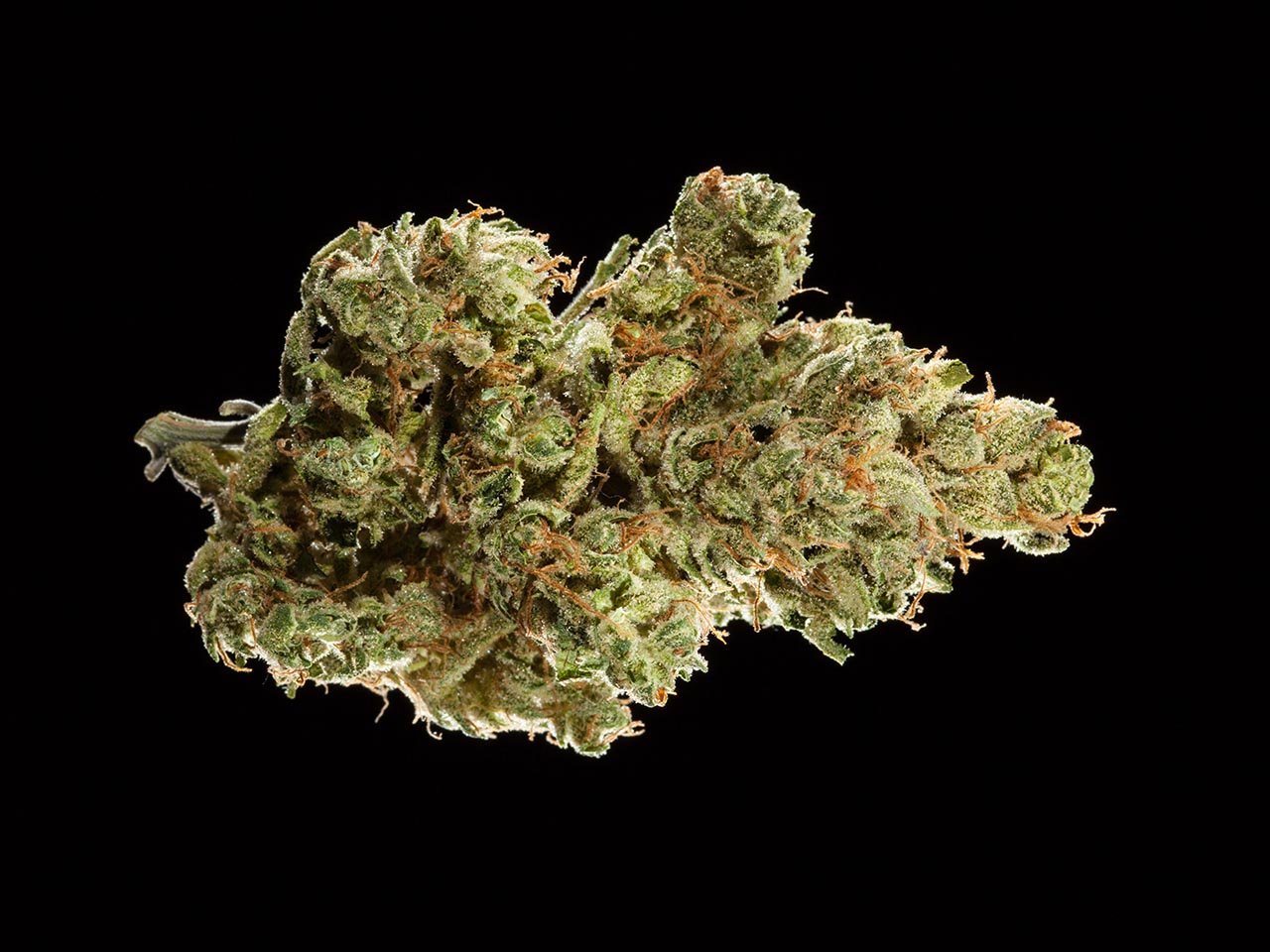 2016 NorCal Medical Cannabis Cup, hybrid flowers