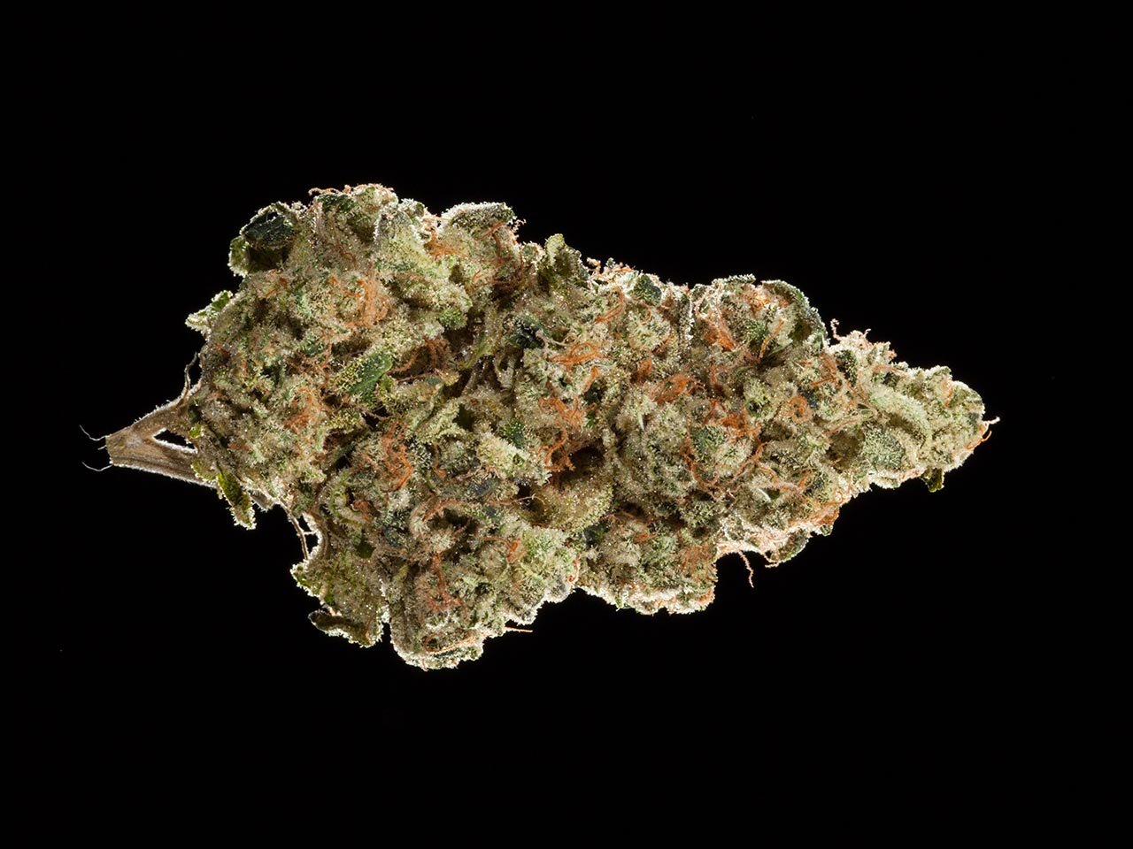 2016 NorCal Medical Cannabis Cup, hybrid flowers