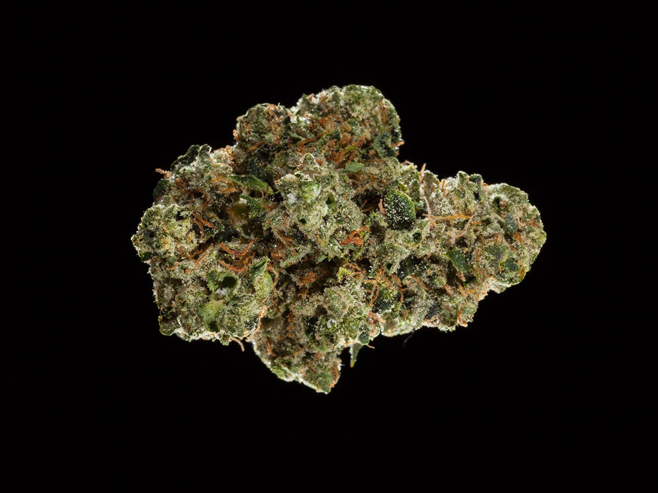 2016 NorCal Medical Cannabis Cup, indica flowers