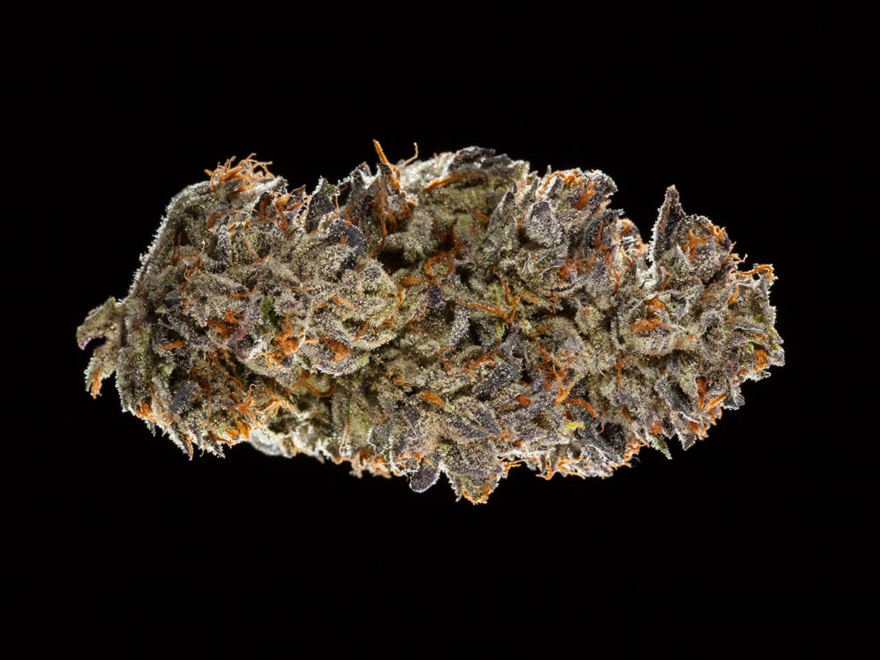 2016 NorCal Medical Cannabis Cup, indica flowers