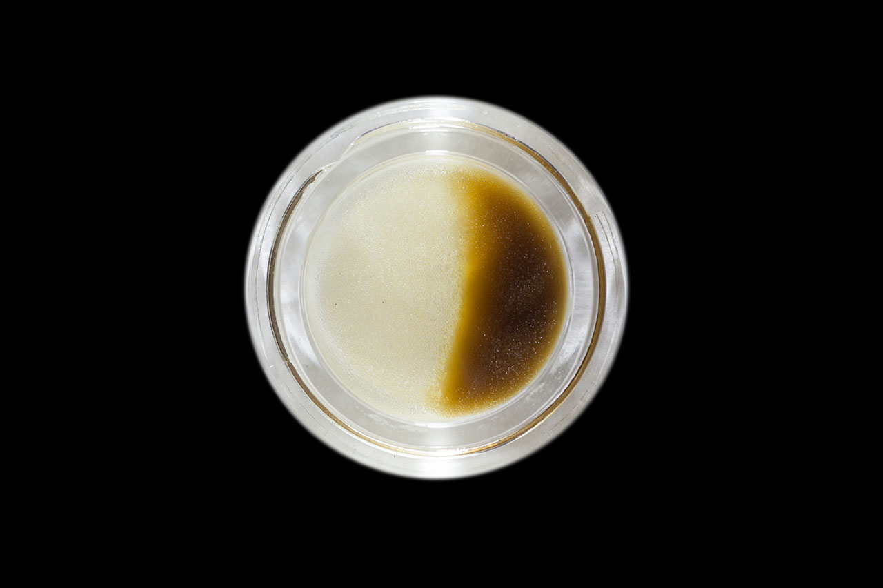 2016 NorCal Medical Cannabis Cup, non-solvent hash