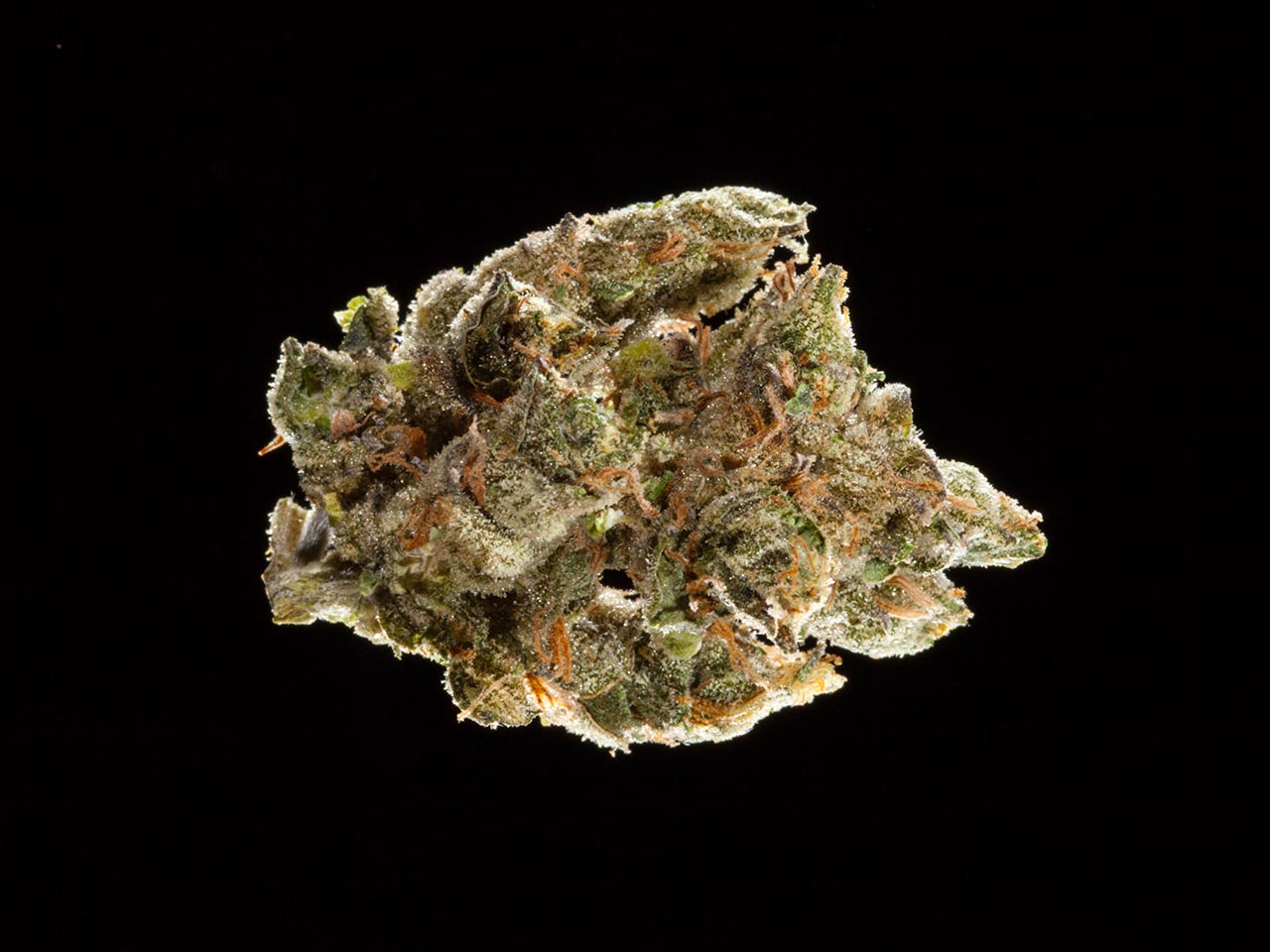 2016 NorCal Medical Cannabis Cup, sativa flowers