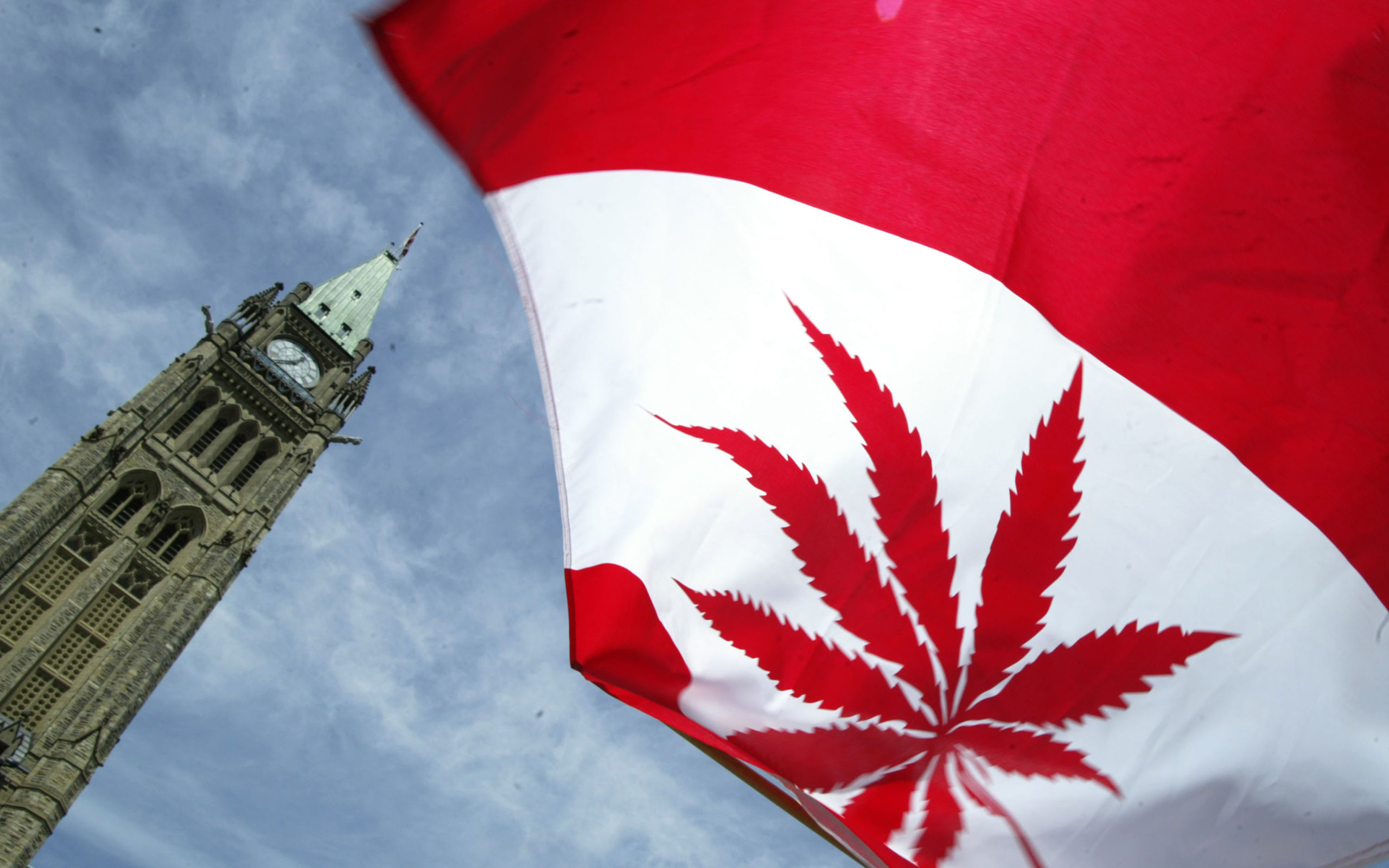 Канада легализовала марихуану tor browser скачать с официального сайта для linux hyrda