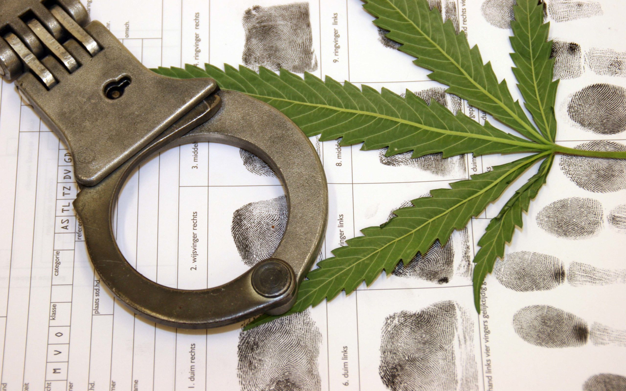 марихуана административная и уголовная