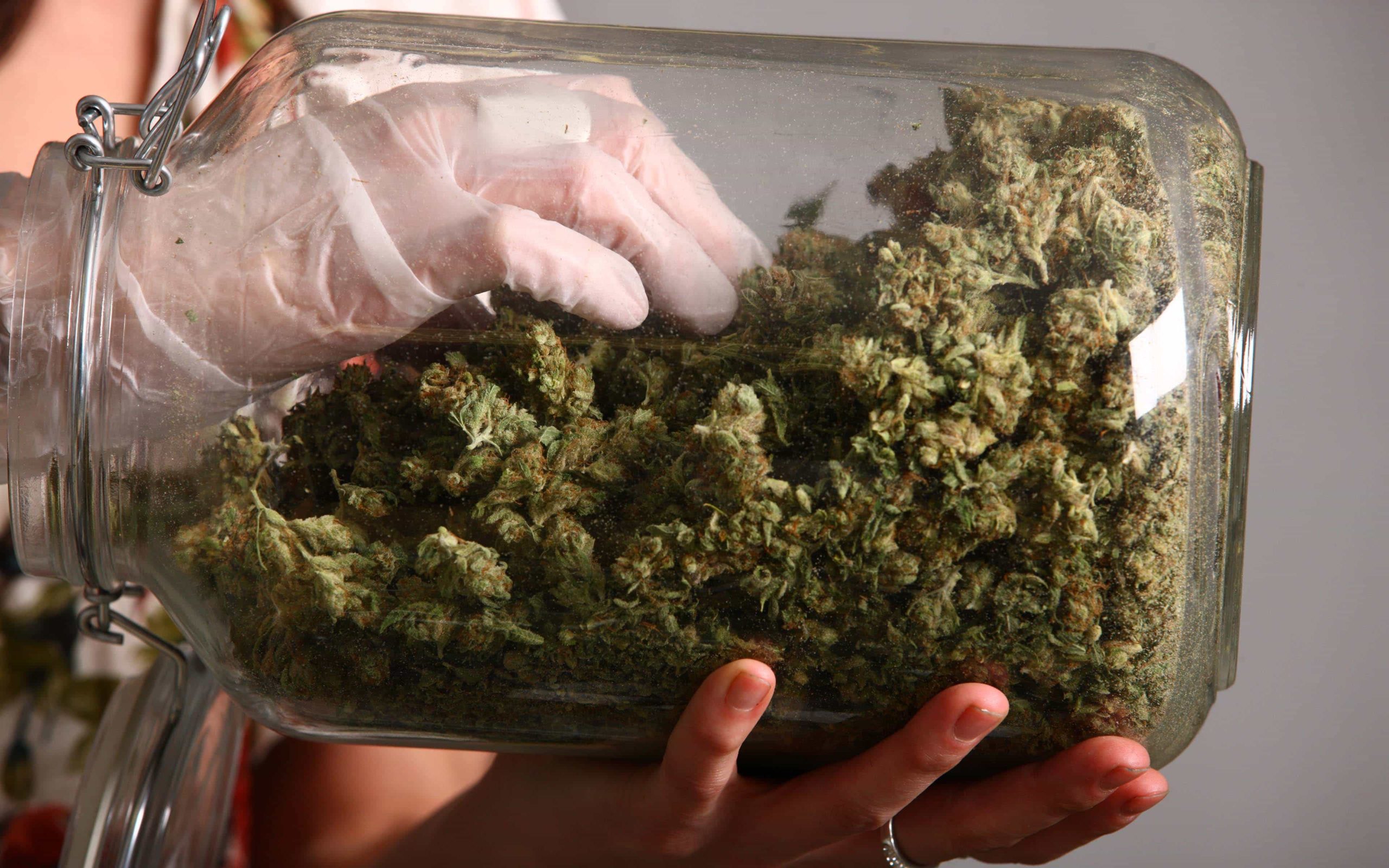 Maui Medical Marijuana Dispensary to Close Temporarily | High Times