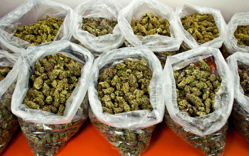 Police Dispatcher Busted with 'Couple Hundred Pounds' of Cartel Pot | High  Times