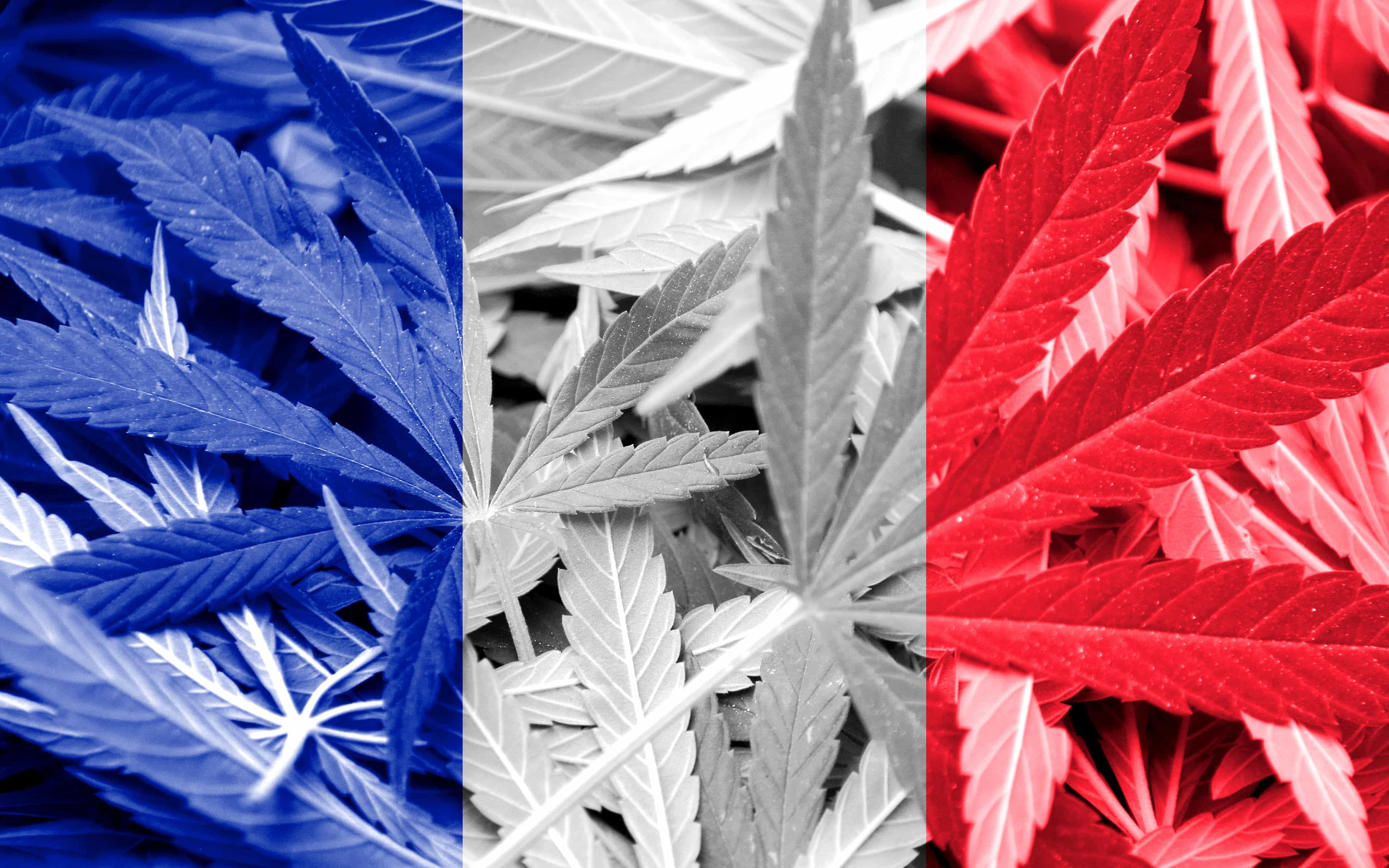 france-s-next-presidential-contender-wants-to-legalize-weed-high-times