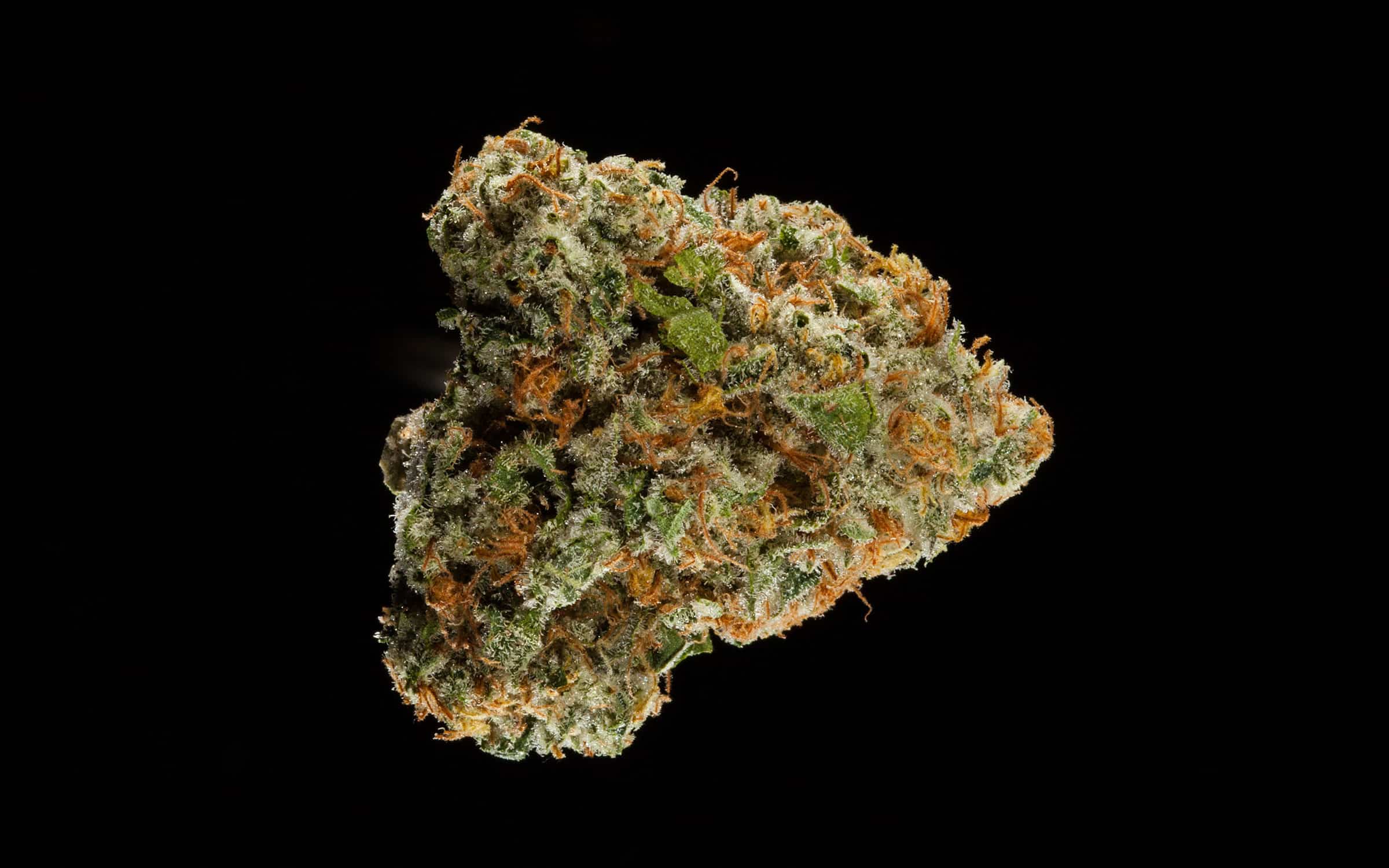 hf50_strawberry_fields_golden_state_greens_point_loma_with_pearl_pharma