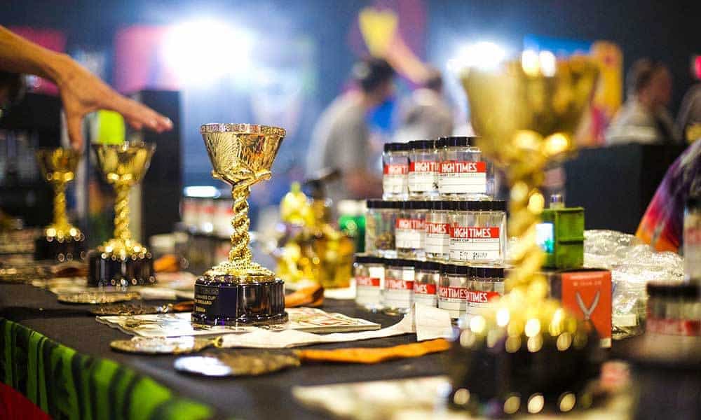 Reaching New Highs at the 2017 New England Cannabis Cup