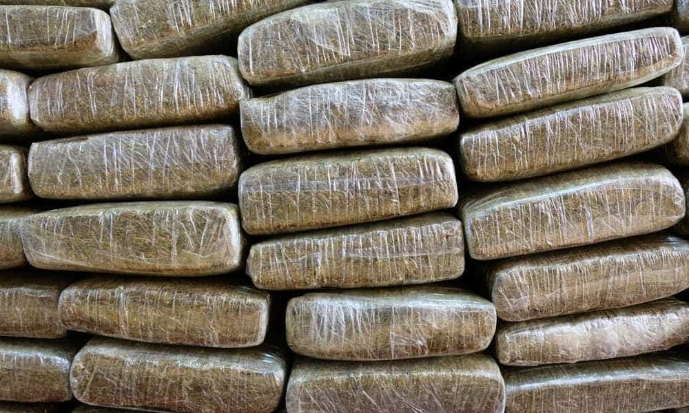 130 Pounds of Weed Discovered In A Cemetery