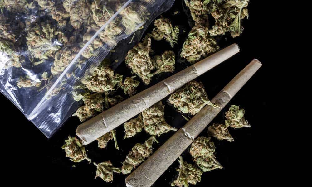 Florida Democrats Aim To Undo Medical Marijuana Smoking Ban | High Times