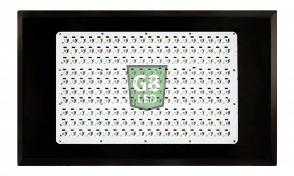 Is It Time For LED Grow Lights?
