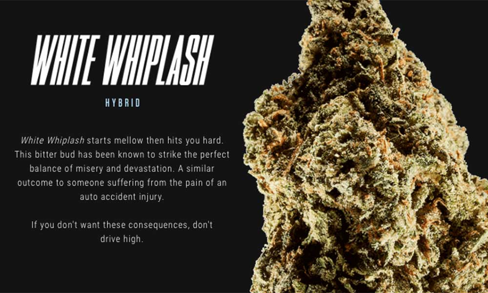 Photo Courtesy of Consequence Strains/BBDO