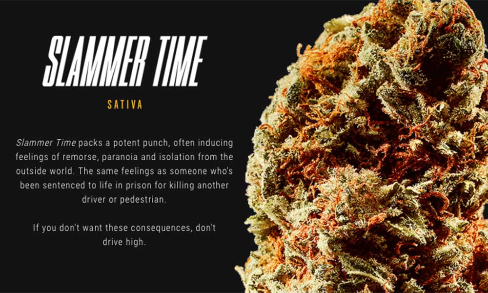 Campaign Releases Strange Strain Names About Driving High