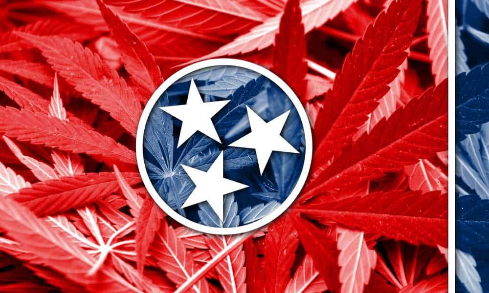 Tennessee Democrats Come Out In Support Of Medical Marijuana