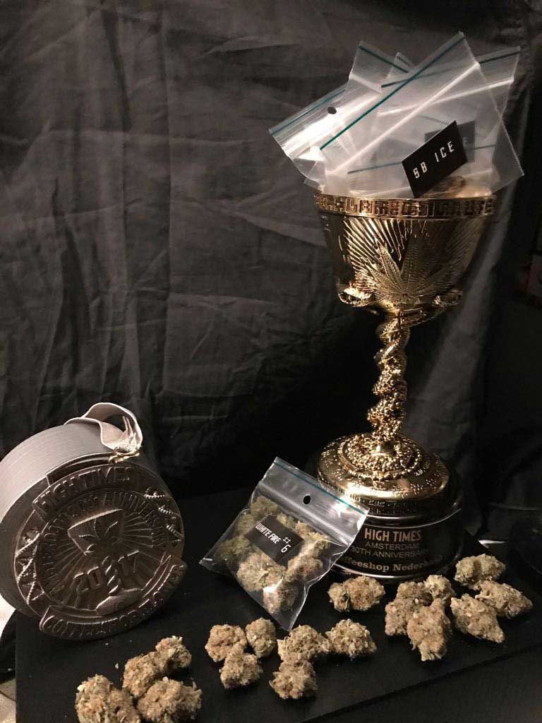 Winners Of The 2017 Amsterdam Cannabis Cup