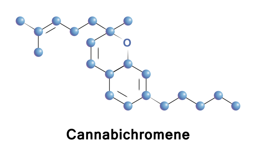 What Is CBC (Cannabichromene) And What Does It Do?