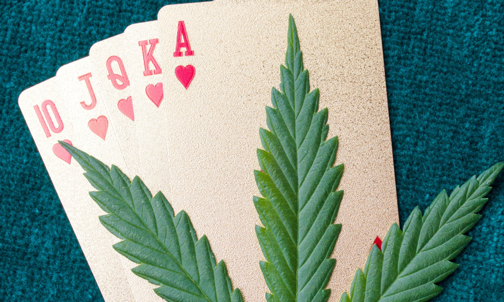 This Deck Of Bicycle Hemp Playing Cards Changes The Game