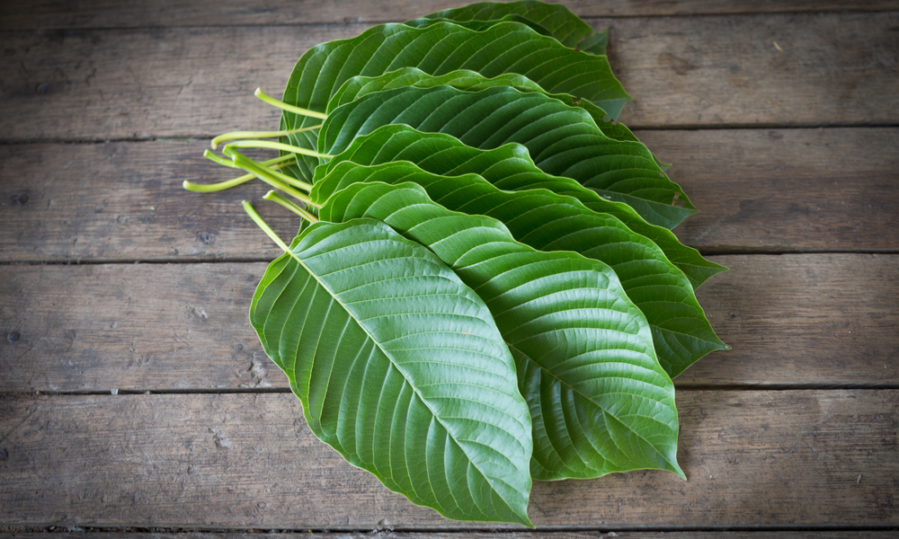 The Ultimate Guide To Kratom