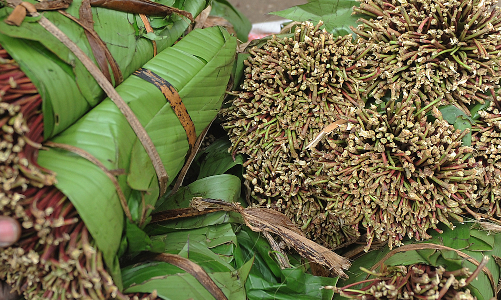 What Is Khat? | High Times