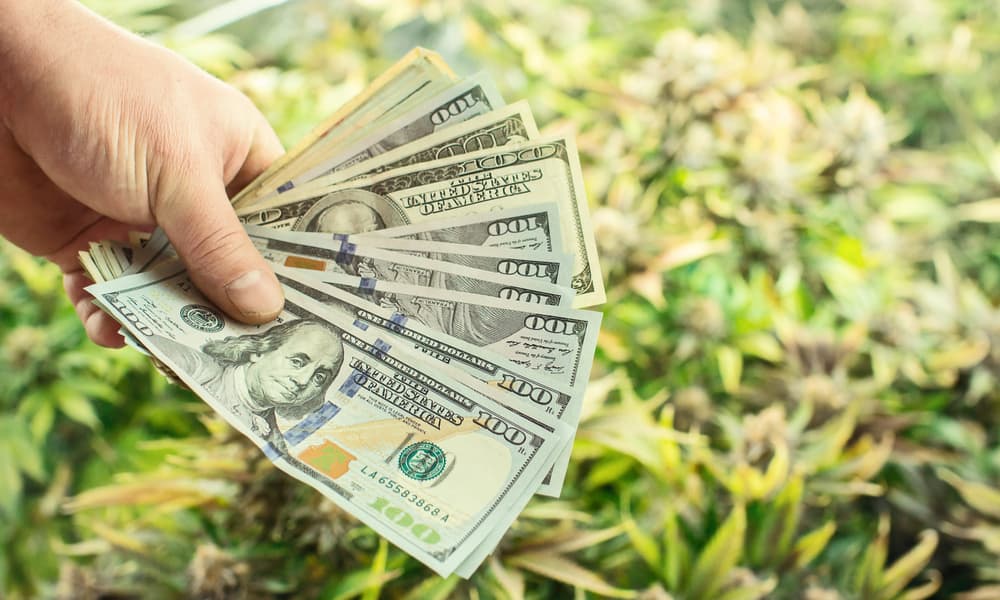 How To Invest In The Legal Weed Market