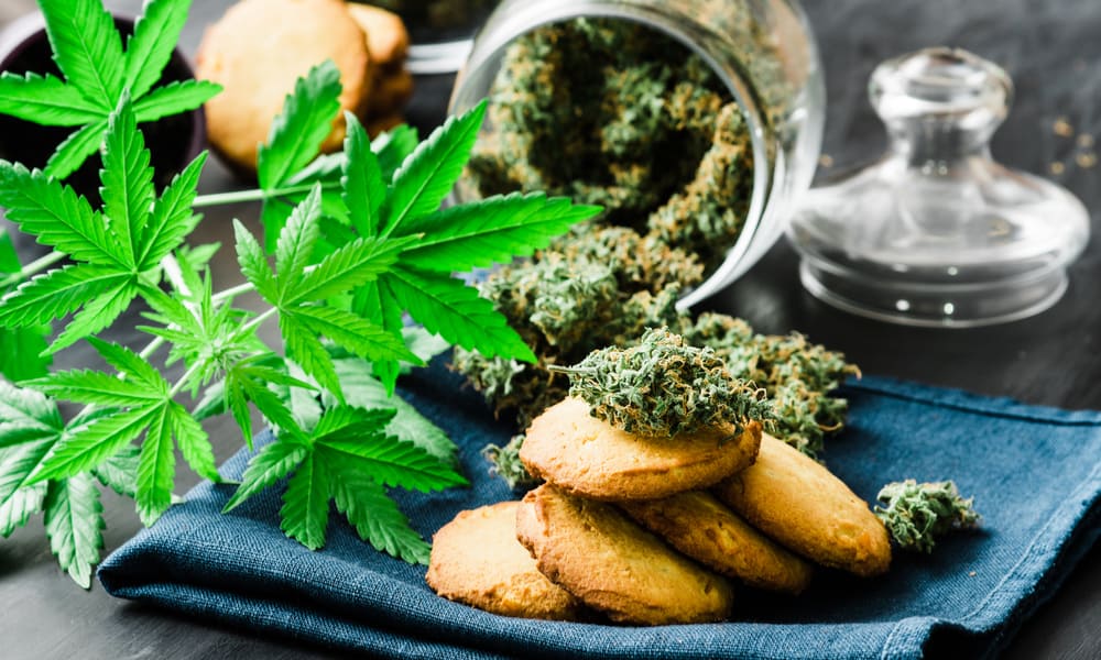 The 7 Best Things To Do On 4/20