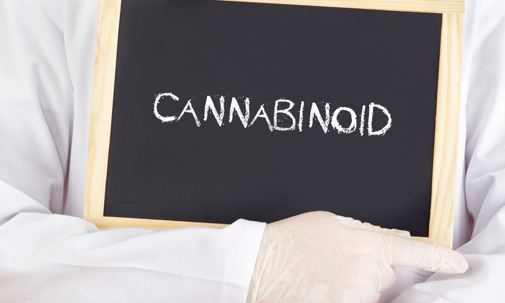 The Ultimate Guide To Cannabinoids In Cannabis