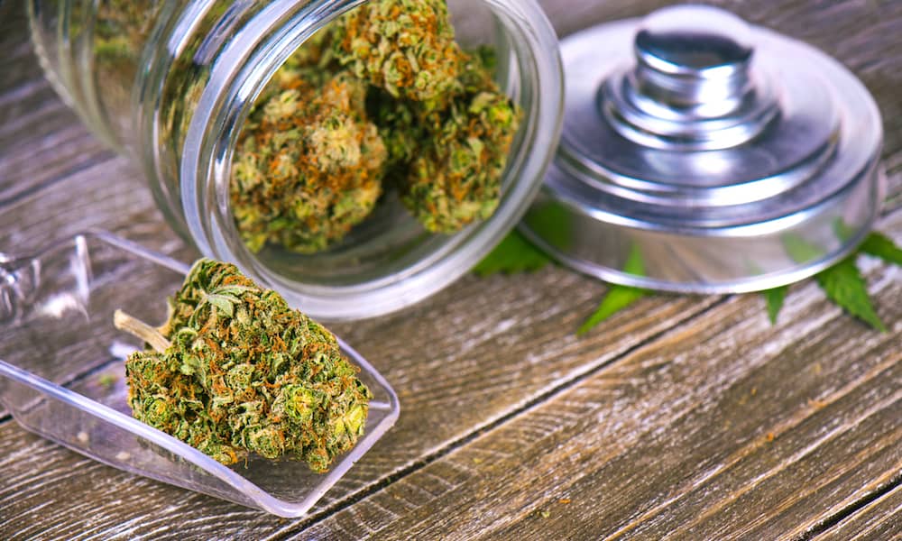 Over 200 Michigan Medical Marijuana Dispensaries Forced To Close | High  Times