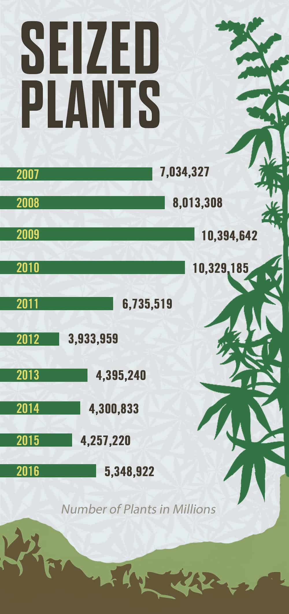 Marijuana by the Numbers