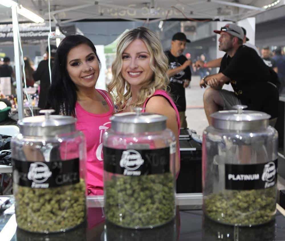 The Ultimate Guide to 420-Friendly Summer Events in Los Angeles